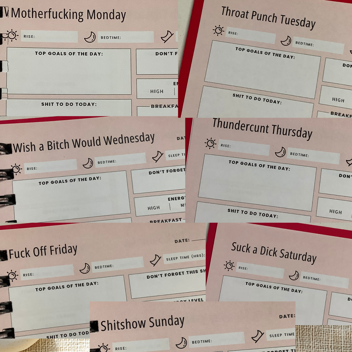 Daily planner pages with sweary weekday headings, including “Motherfucking Monday” and “Shitshow Sunday,” and spaces for goals, tasks, sleep and energy levels.