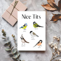 White rectangular card reading “Nice Tits,” with five illustrated birds labelled blue tit, great tit, willow tit, crested tit and coal tit.