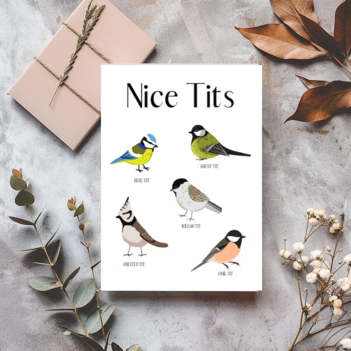 White rectangular card reading “Nice Tits,” with five illustrated birds labelled blue tit, great tit, willow tit, crested tit and coal tit.